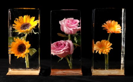 生花氷 バラ 12cm 12cm 25cm 約4kg 氷 花 長崎県大村市 ふるさと納税サイト ふるなび