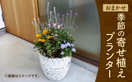 おまかせ 季節の 寄せ植え プランター 花 植物 長崎県大村市 ふるさと納税サイト ふるなび