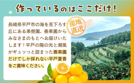 【全6回定期便】【自家栽培の柑橘のみを使用】みかん ジュース 3本 セット【善果園】[KAA525]