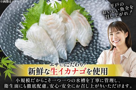 刺身 神経〆平戸ひらめ 80g 2パック 合計 160g [イワミ水産 長崎県 平戸市 hr42bgy400104]