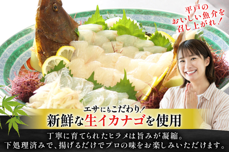 ヒラメ 神経〆平戸ひらめ 1尾 1 ～ 1.5kg 内臓処理済 [イワミ水産 長崎県 平戸市 hr42bgy400107]