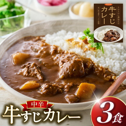 カレー 牛すじカレー 3食 セット 中辛 [カレー工房NVfoods 長崎県 平戸市 hr42bgy400226]