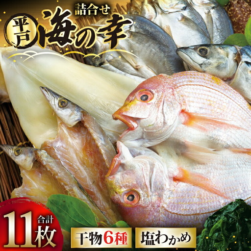 干物 平戸 豪華 6種 詰合せ ＆ 天然 塩わかめ セット 計11枚 食べ比べ [一山水産 長崎県 平戸市 hr42bgy400121]