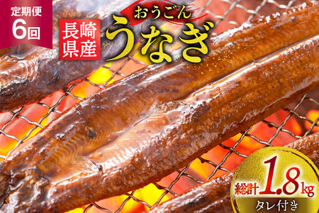 うなぎ 国産 蒲焼 長崎県産 おうごんうなぎ 約300g 2尾～3尾 6回 定期便 総計 約1.8kg [松永水産 長崎県 平戸市 hr42bgy400023]