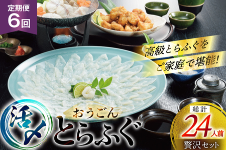 ふぐ 刺身 ふぐ鍋セット 活〆 おうごんとらふぐ 贅沢セット 4人前 6回 定期便 [松永水産 長崎県 平戸市 hr42bgy400073]