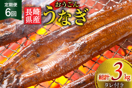 うなぎ 国産 蒲焼 長崎県産 おうごんうなぎ 約500g 3尾～4尾 6回 定期便 総計 約3kg [松永水産 長崎県 平戸市 hr42bgy400109]