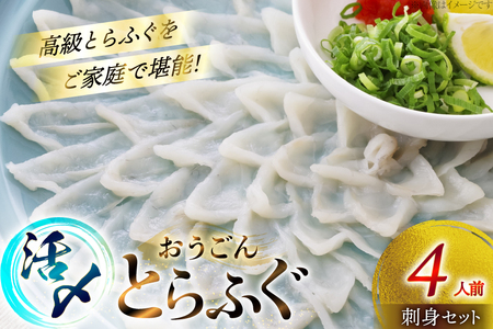 ふぐ 刺身 セット 活〆 おうごんとらふぐ 刺身セット 4人前 [松永水産 長崎県 平戸市 hr42bgy400157]