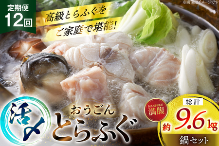 ふぐ 鍋 セット 活〆 おうごんとらふぐ 満腹 鍋セット 約800g 12回 定期便 総計 約9.6kg [松永水産 長崎県 平戸市 hr42bgy400189]