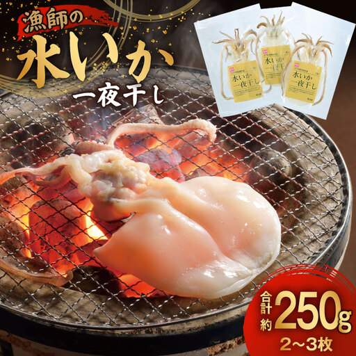 いか 一夜干し 干物 漁師の水烏賊一夜干し 2～3枚 約250g [中野漁業 長崎県 平戸市 hr42bgy400067]