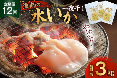 いか 一夜干し 干物 漁師の水烏賊一夜干し 2～3枚 約250g 12回 定期便 総計3kg [中野漁業 長崎県 平戸市 hr42bgy400075]