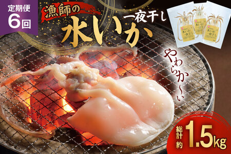 いか 一夜干し 干物 漁師の水烏賊一夜干し 2～3枚 約250g 6回 定期便 総計1.5kg [中野漁業 長崎県 平戸市 hr42bgy400078]
