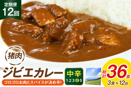カレー スパイス 平戸 イノシシ カレー 3食 セット 12回 定期便 総計 36食 [平戸ファクトリー 長崎県 平戸市 hr42bgy400167]