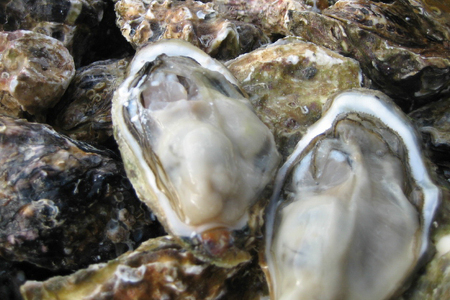 【期間限定発送】 牡蠣 生食 平戸産 殻付き 生牡蠣 約2.5kg [北川水産 長崎県 平戸市 hr42bgy400102]