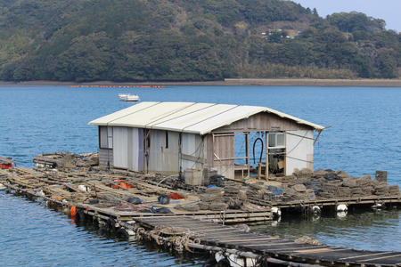 【期間限定発送】 牡蠣 生食 平戸産 殻付き 生牡蠣 約2.5kg [北川水産 長崎県 平戸市 hr42bgy400102]
