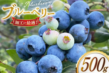 ブルーベリー 冷凍 250g 2パック 計 500g [いきつきブルーベリー園 moon berry's kitchen 長崎県 平戸市 hr42bhb500000]