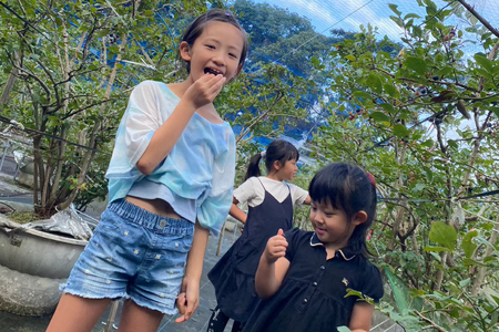 ブルーベリー 冷凍 250g 2パック 計 500g [いきつきブルーベリー園 moon berry's kitchen 長崎県 平戸市 hr42bhb500000]