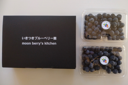 ブルーベリー 冷凍 250g 2パック 計 500g [いきつきブルーベリー園 moon berry's kitchen 長崎県 平戸市 hr42bhb500000]