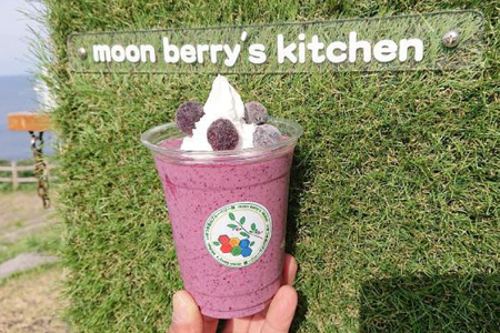 ブルーベリー 冷凍 250g 2パック 計 500g [いきつきブルーベリー園 moon berry's kitchen 長崎県 平戸市 hr42bhb500000]