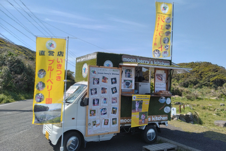 ブルーベリー 冷凍 250g 2パック 計 500g [いきつきブルーベリー園 moon berry's kitchen 長崎県 平戸市 hr42bhb500000]