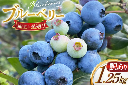 ブルーベリー 訳あり 冷凍 250g 5パック 計 1.25kg [いきつきブルーベリー園 moon berry's kitchen 長崎県 平戸市 hr42bhb500001]