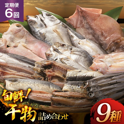 おつまみ イカ 旬魚 平戸 干物 9種 詰め合せ 定期便 6回 [森崎水産 長崎県 平戸市 hr42bgy410098]