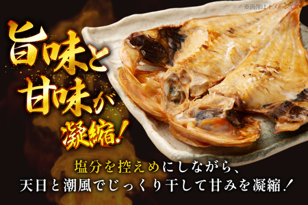 魚 惣菜 平戸 干物 詰め合わせ 9種 [森崎水産 長崎県 平戸市 hr42bgy410125]