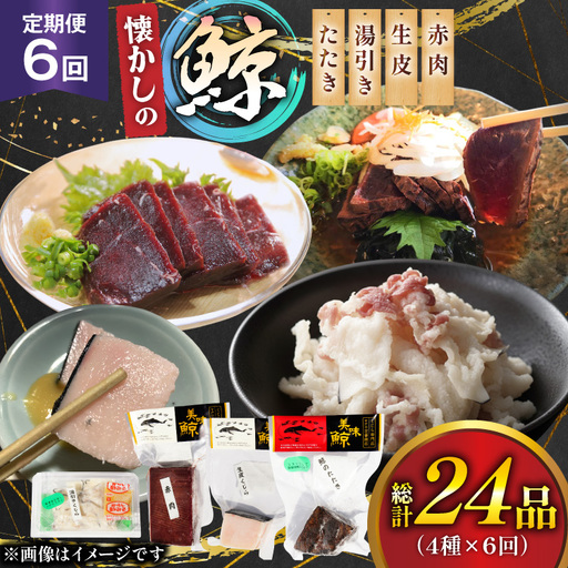 鯨肉 6回定期便 懐かしの 鯨 4種 食べ比べセット [平戸口吉善商店 長崎県 平戸市 hr42bgy390048]