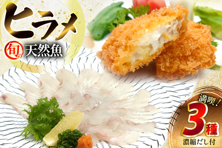 刺身 フライ 平戸天然ヒラメ 満喫 3種 セット 詰め合わせ 食べ比べ [囲炉裏料理エビス亭 長崎県 平戸市 hr42bgy390028]