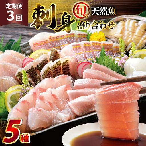刺身 盛り合わせ 旬の天然魚の刺身盛り 5種 2～3人前 3回 定期便 総計6～9人前 セット 食べ比べ 詰め合わせ [囲炉裏料理エビス亭 長崎県 平戸市 hr42bgy390045]