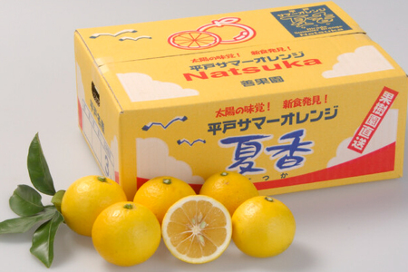 果物 オレンジ 平戸 夏香 3kg (16～25個) 2L ～ M サイズ [善果園 長崎県 平戸市 hr42bgy420155]