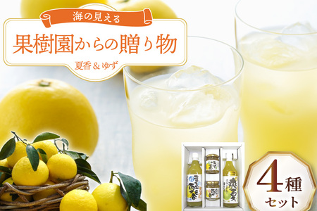 果物 オレンジ 果樹園からの贈り物 4種 セット [善果園 長崎県 平戸市 hr42bgy420171]