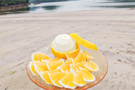 果物 オレンジ 果樹園からの贈り物 4種 セット [善果園 長崎県 平戸市 hr42bgy420171]