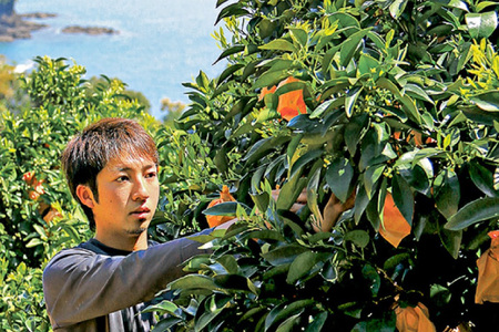 果物 オレンジ みかん ジュース 3種 セット 500ml 計3本 12回 定期便 [善果園 長崎県 平戸市 hr42bgy420350]