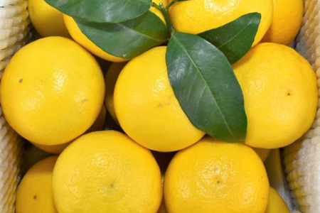 果物 オレンジ みかん ジュース 3種 セット 500ml 計3本 12回 定期便 [善果園 長崎県 平戸市 hr42bgy420350]