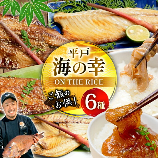 魚 干物 漬け 塩辛 ごはんのお供 塩干し みりん干し 漬け 塩辛 セット [末弘丸 長崎県 平戸市 hr42bgy420280]
