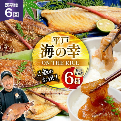 魚 干物 漬け 塩辛 ごはんのお供 塩干し みりん干し 漬け 塩辛 セット 6回 定期便 [末弘丸 長崎県 平戸市 hr42bgy420442]