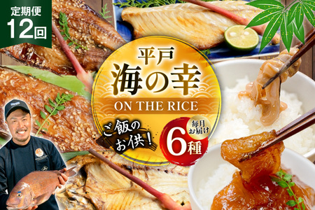 魚 干物 漬け 塩辛 ごはんのお供 塩干し みりん干し 漬け 塩辛 セット 12回 定期便 [末弘丸 長崎県 平戸市 hr42bgy420443] 9,250円