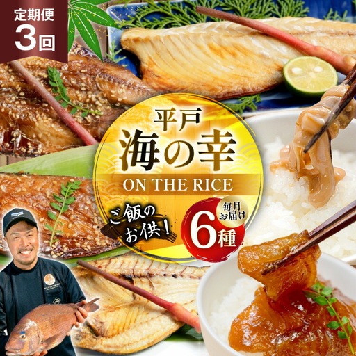 魚 干物 漬け 塩辛 ごはんのお供 塩干し みりん干し 漬け 塩辛 セット 3回 定期便 [末弘丸 長崎県 平戸市 hr42bgy420458]