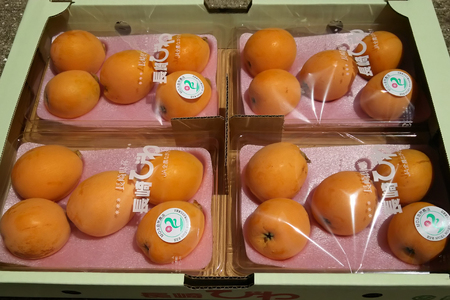 フルーツ びわ 根獅子びわ 250g (5個～6個) ×4パック 計1kg 【期間限定発送】 [しげさん農園 長崎県 平戸市 hr42bgy420036]