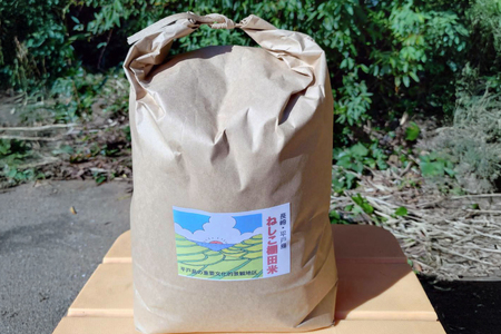 米 白米 ねしこ 棚田米 5kg 【期間限定発送】 [しげさん農園 長崎県 平戸市 hr42bgy420404]