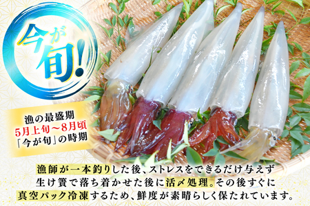 刺身 イカ タコ ヤリイカ刺身とタコ刺身 セット [漁師の店満月 長崎県 平戸市 hr42bgy420486]