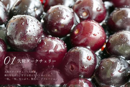 ケーキ タルト 贅沢 ダークチェリー タルト 1ホール 18cm [心優-Cotoyu Sweets- 長崎県 平戸市 hr42bjo490044]