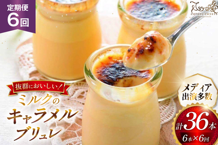 キャラメル ブリュレ プリン 6種×1個 計6個 セット 6回 定期便 総計36個 [心優-Cotoyu Sweets- 長崎県 平戸市 hr42bjo490055]