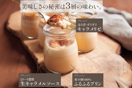 キャラメル ブリュレ プリン 6種×1個 計6個 セット 6回 定期便 総計36個 [心優-Cotoyu Sweets- 長崎県 平戸市 hr42bjo490055]