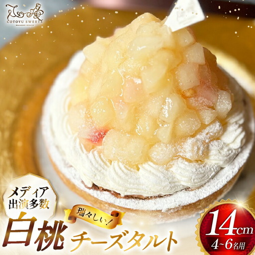 桃 ケーキ 白桃 チーズ タルト 1ホール 14cm [心優-Cotoyu Sweets- 長崎県 平戸市 hr42bjo490058]
