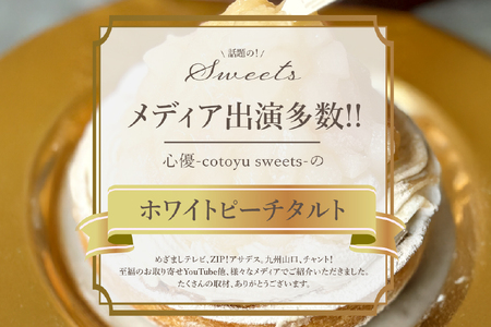 桃 ケーキ 白桃 チーズ タルト 1ホール 14cm [心優-Cotoyu Sweets- 長崎県 平戸市 hr42bjo490058]