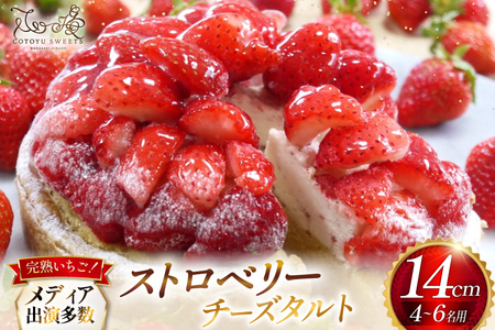 【期間限定】 いちご タルト ストロベリー チーズタルト 1ホール 14cm  [心優-Cotoyu Sweets- 長崎県 平戸市 hr42bjo490172]