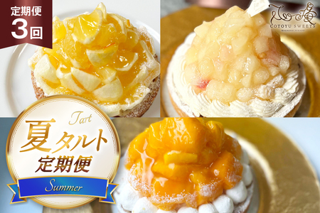フルーツ タルト 夏タルト 3種 夏香 白桃 マンゴー 食べ比べ 各回 1ホール 14cm 3回 定期便 総計3ホール [心優-Cotoyu Sweets- 長崎県 平戸市 hr42bgy420459]