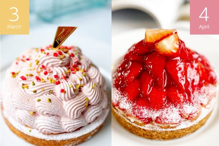 タルト ケーキ スイーツ 食べ比べ 6回 定期便 [心優-Cotoyu Sweets- 長崎県 平戸市 hr42bgy420468]