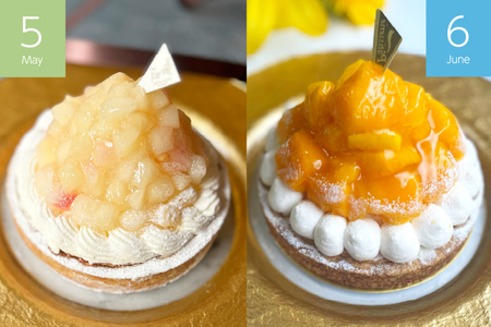 タルト ケーキ スイーツ 食べ比べ 6回 定期便 [心優-Cotoyu Sweets- 長崎県 平戸市 hr42bgy420468]